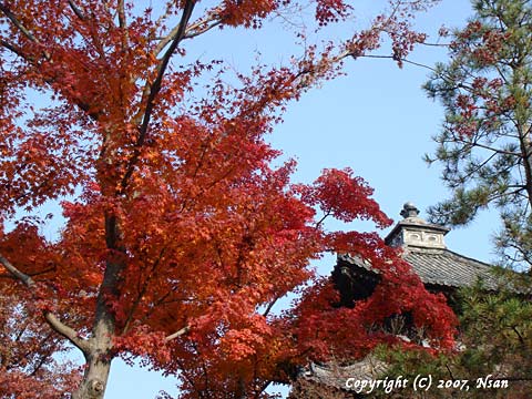 tofukuji