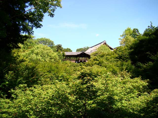 tofukuji61.jpg