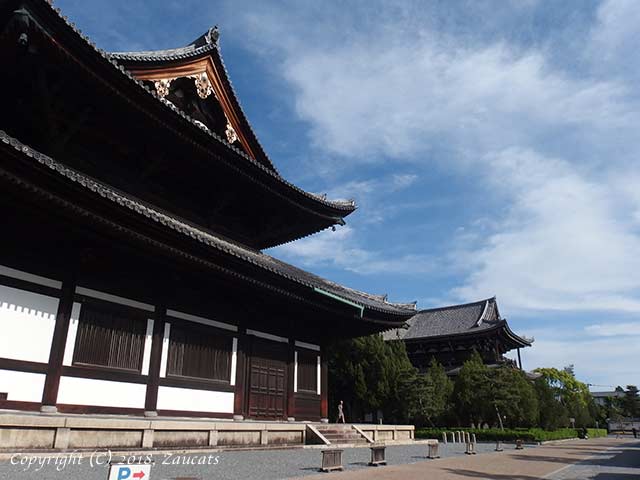 tofukuji81.jpg