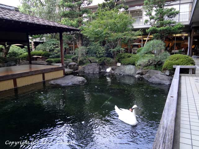 kyoto_kokusai11.jpg