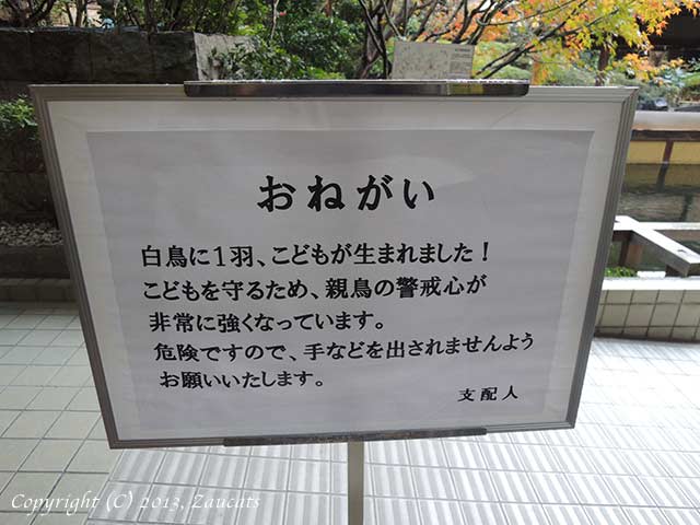 kyoto_kokusai2.jpg