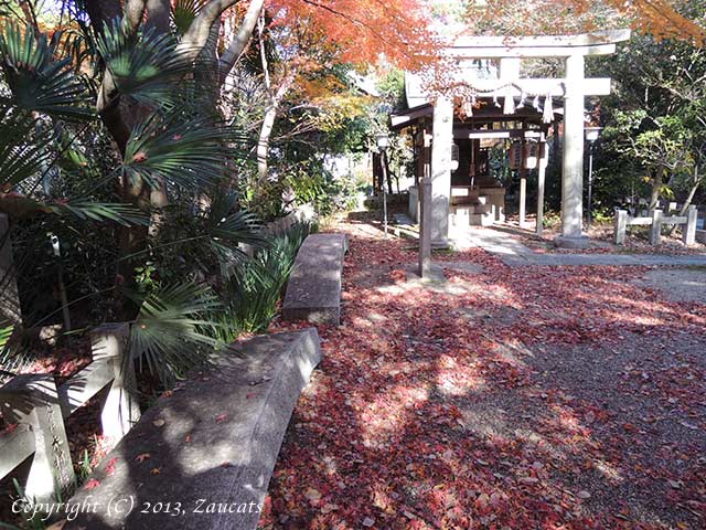 kankojinja11.jpg