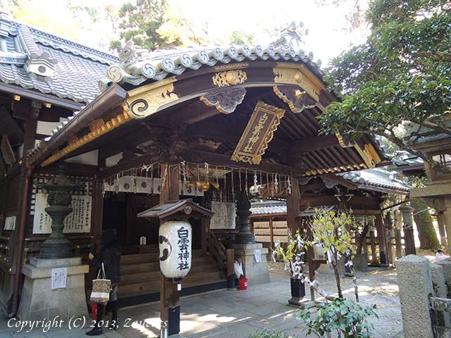 shirakumo_jinja11.jpg