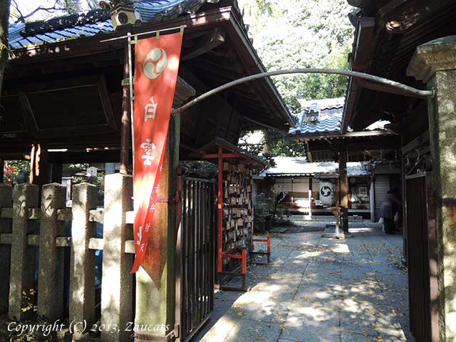 shirakumo_jinja11.jpg