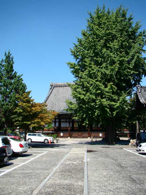 honryuji.jpg