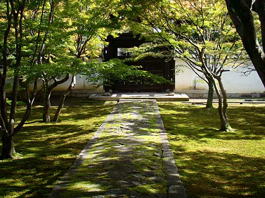 myoukakuji.jpg