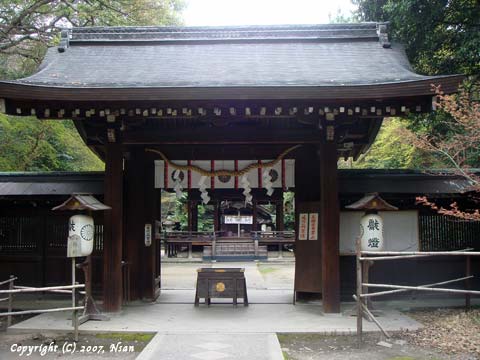 nashinokijinja12.jpg