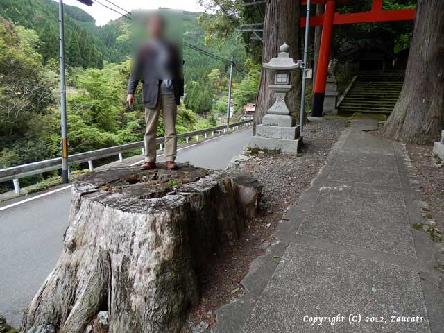 itsukushima11.jpg