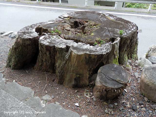 itsukushima11.jpg