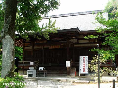 jinkoin