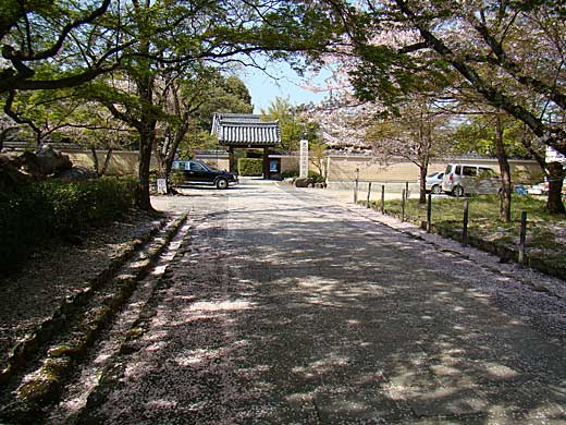 jinkoin