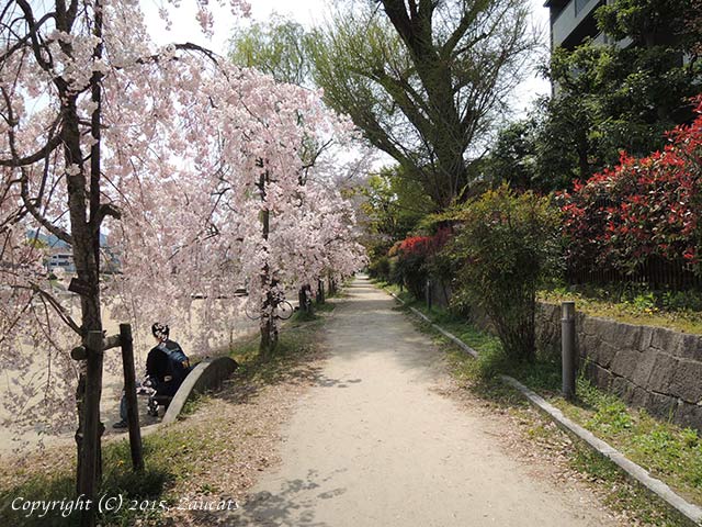 kamogawa101.jpg