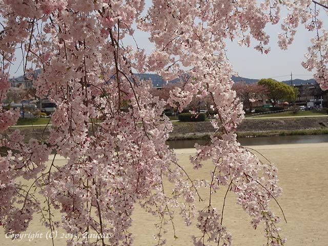 kiyomizu.jpg