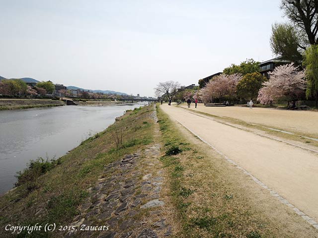 kamogawa101.jpg