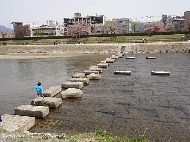 kamogawa101.jpg