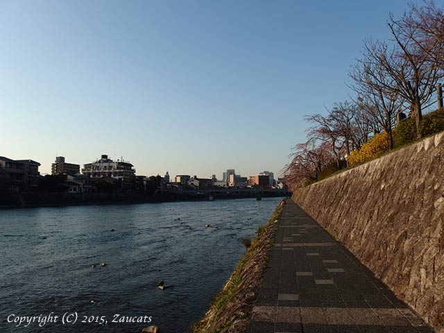 kamogawa111.jpg