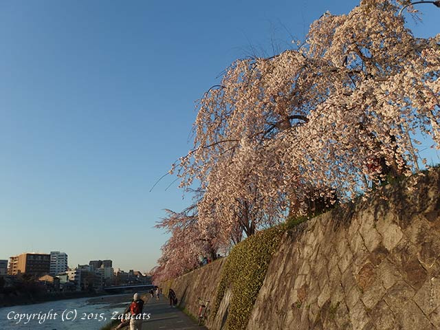 kiyomizu.jpg