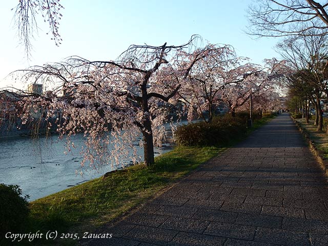 kamogawa111.jpg