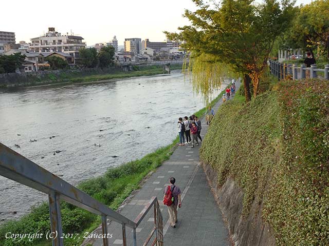 kamogawa111.jpg