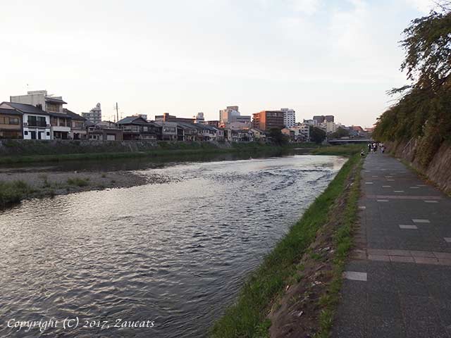 kamogawa111.jpg