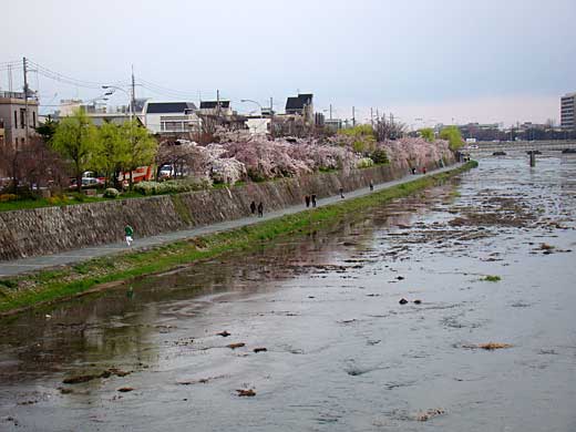 kamogawa.jpg