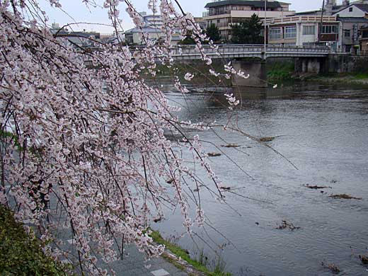 kamogawa.jpg