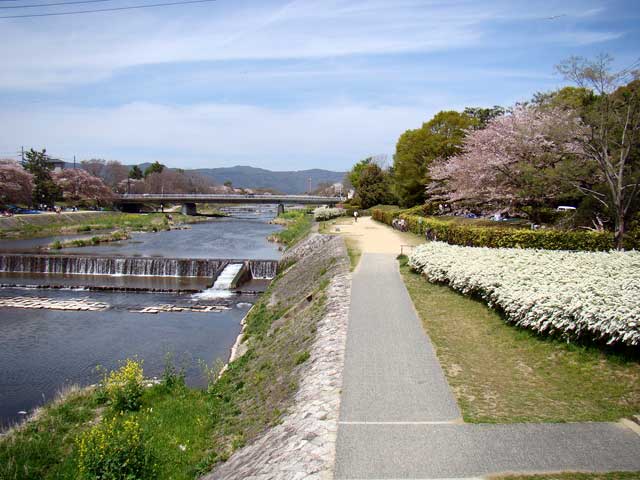 kamogawa61.jpg