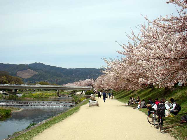 kamogawa61.jpg