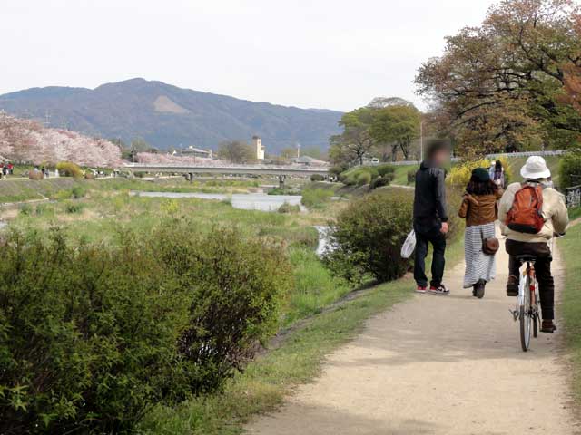 kamogawa61.jpg