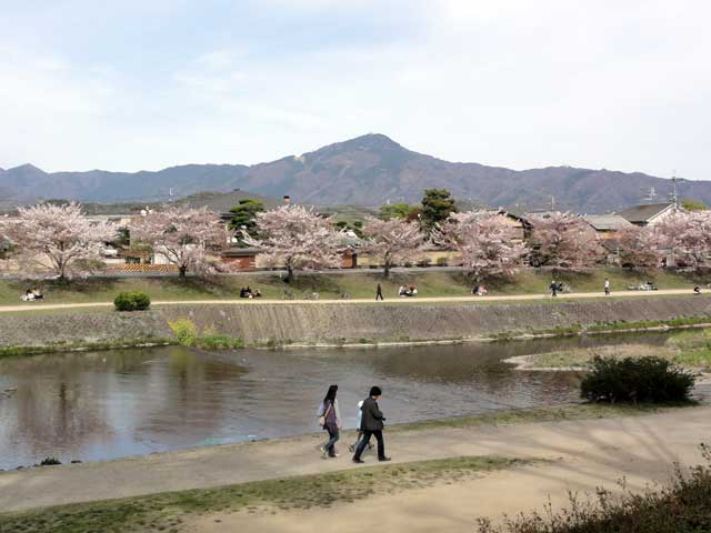 kamogawa61.jpg