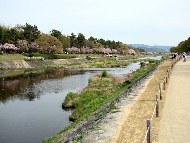 kamogawa61.jpg