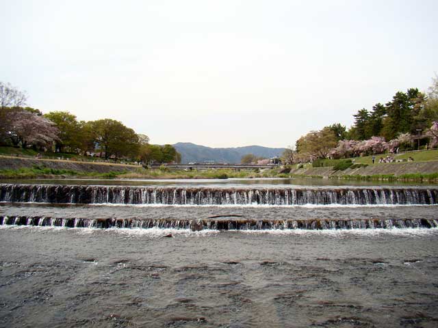 kamogawa61.jpg