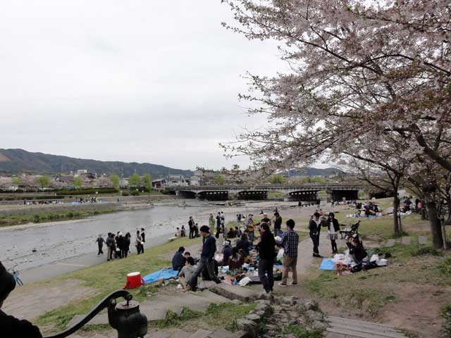 kamogawa61.jpg