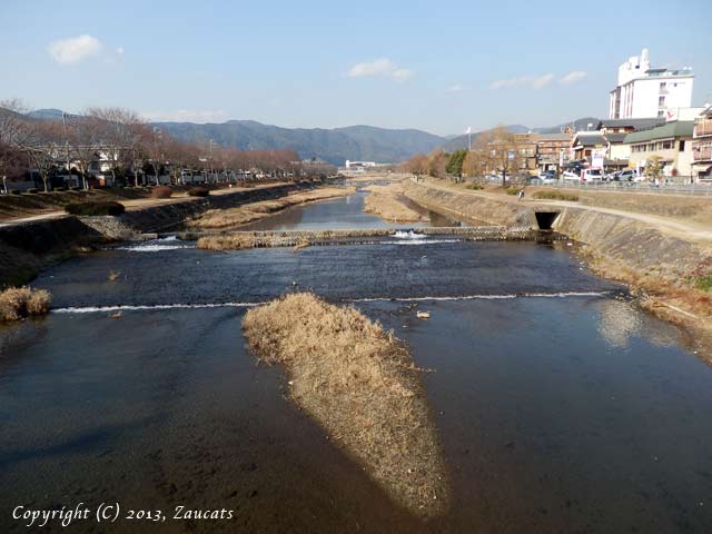 kamogawa71.jpg