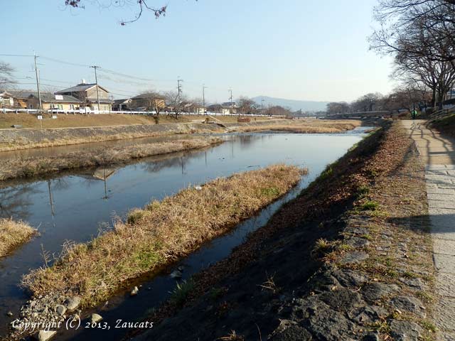 kamogawa71.jpg