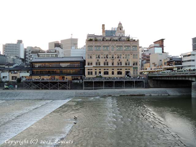 kamogawa81.jpg