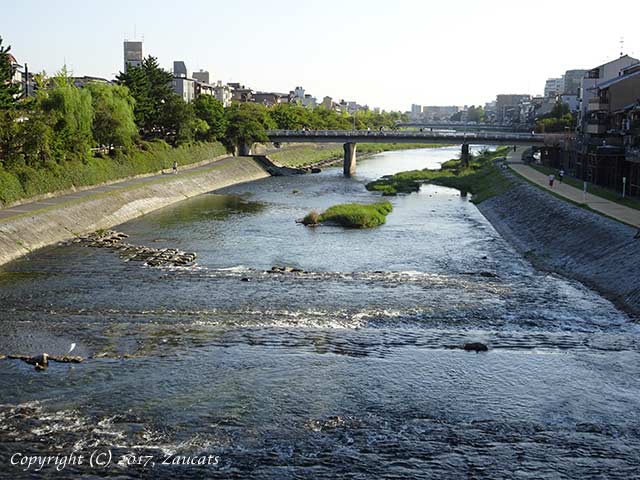 kamogawa81.jpg