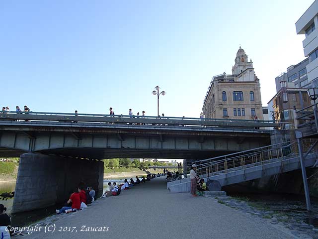 kamogawa81.jpg