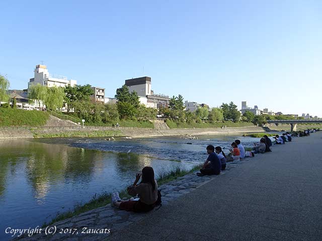 kamogawa81.jpg