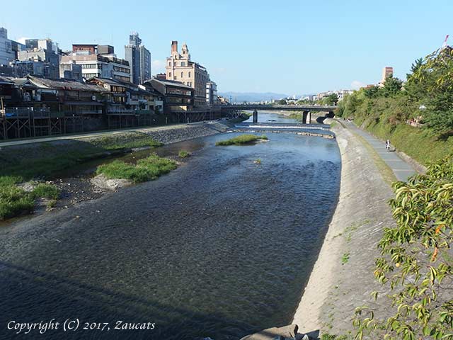 kamogawa81.jpg