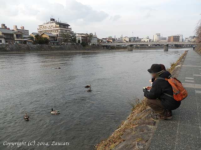 kamogawa91.jpg