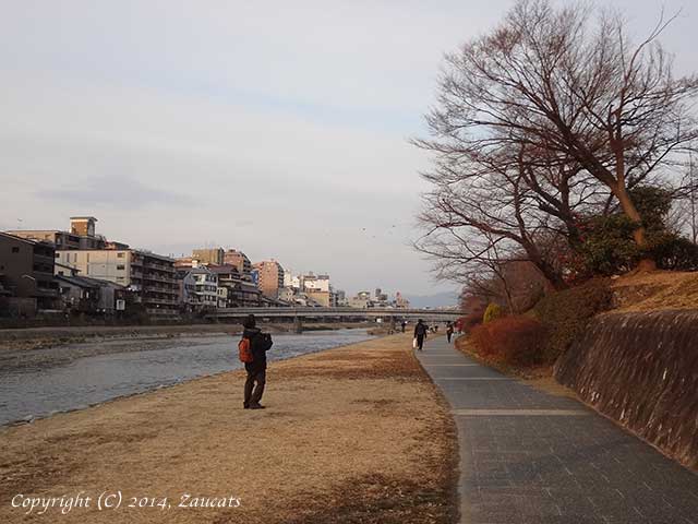 kamogawa91.jpg