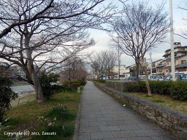 kamogawagojo11.jpg