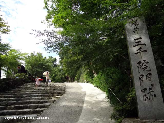 satonomichi31