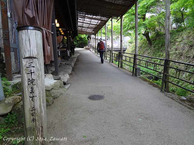 satonomichi41