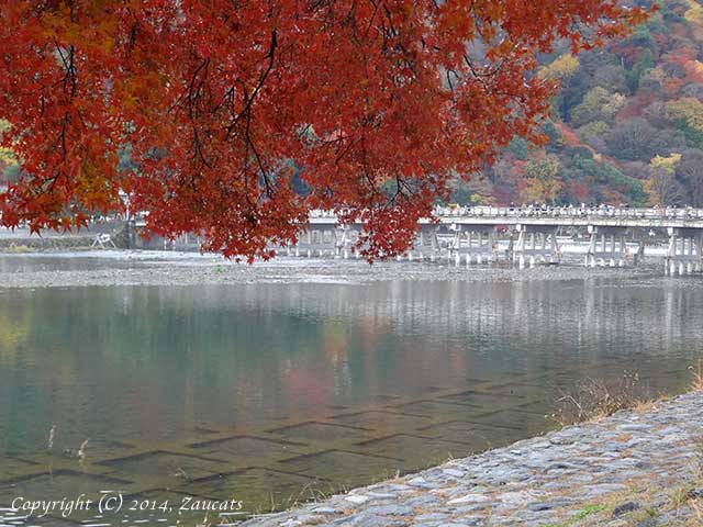 saga_arashiyama11.jpg