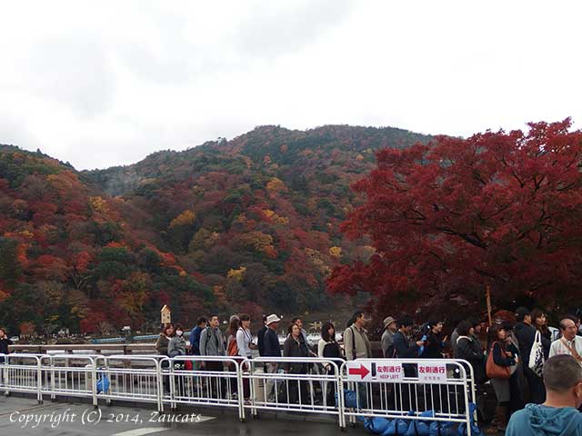 saga_arashiyama11.jpg