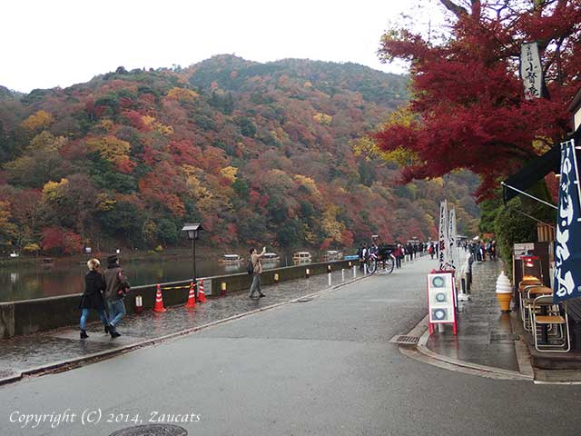 saga_arashiyama11.jpg