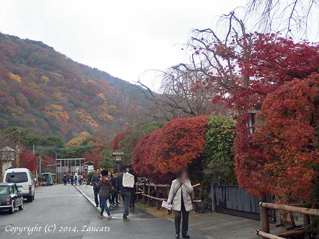 saga_arashiyama11.jpg