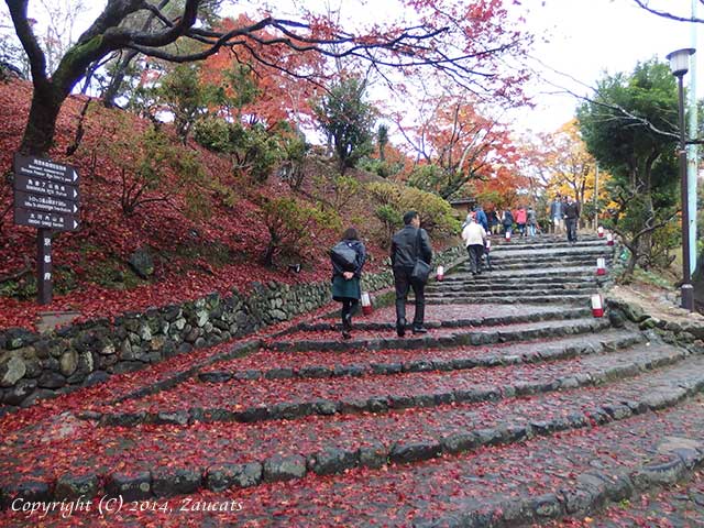 saga_arashiyama11.jpg